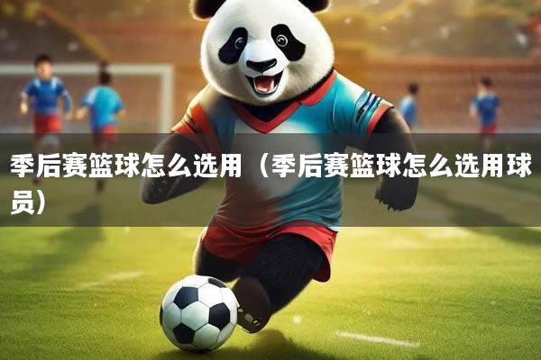 季后赛篮球怎么选用(季后赛篮球怎么选用球员)