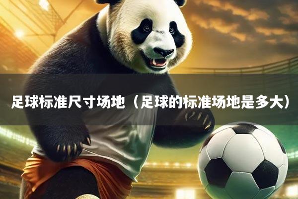 足球标准尺寸场地(足球的标准场地是多大)