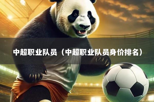 中超职业队员(中超职业队员身价排名)