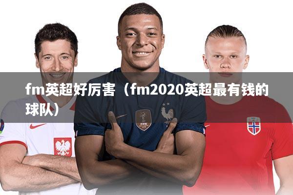 fm英超好厉害(fm2020英超最有钱的球队)