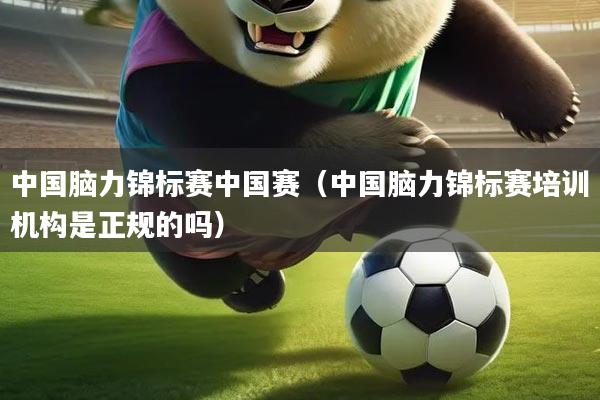 中国脑力锦标赛中国赛（中国脑力锦标赛培训机构是正规的吗）