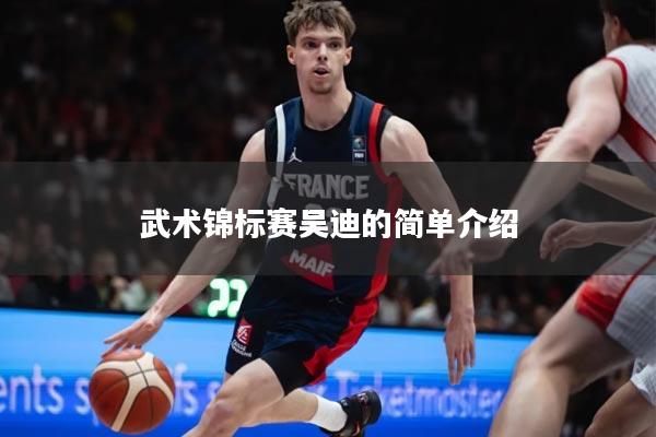 武术锦标赛吴迪的简单介绍