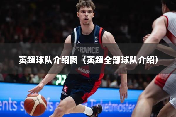 英超球队介绍图(英超全部球队介绍)