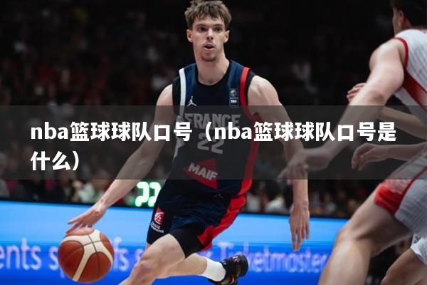 nba篮球球队口号(nba篮球球队口号是什么)
