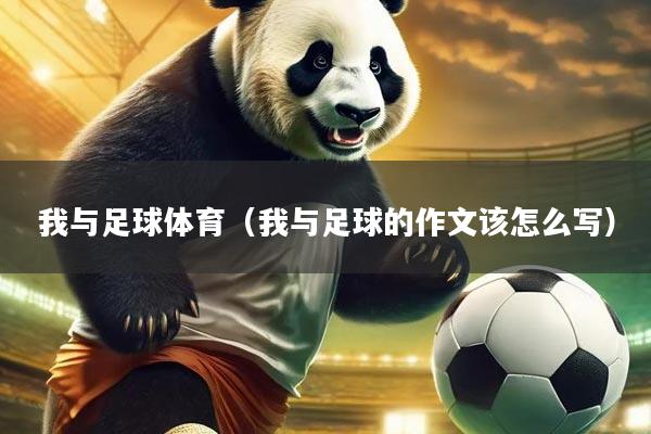 我与足球体育(我与足球的作文该怎么写)